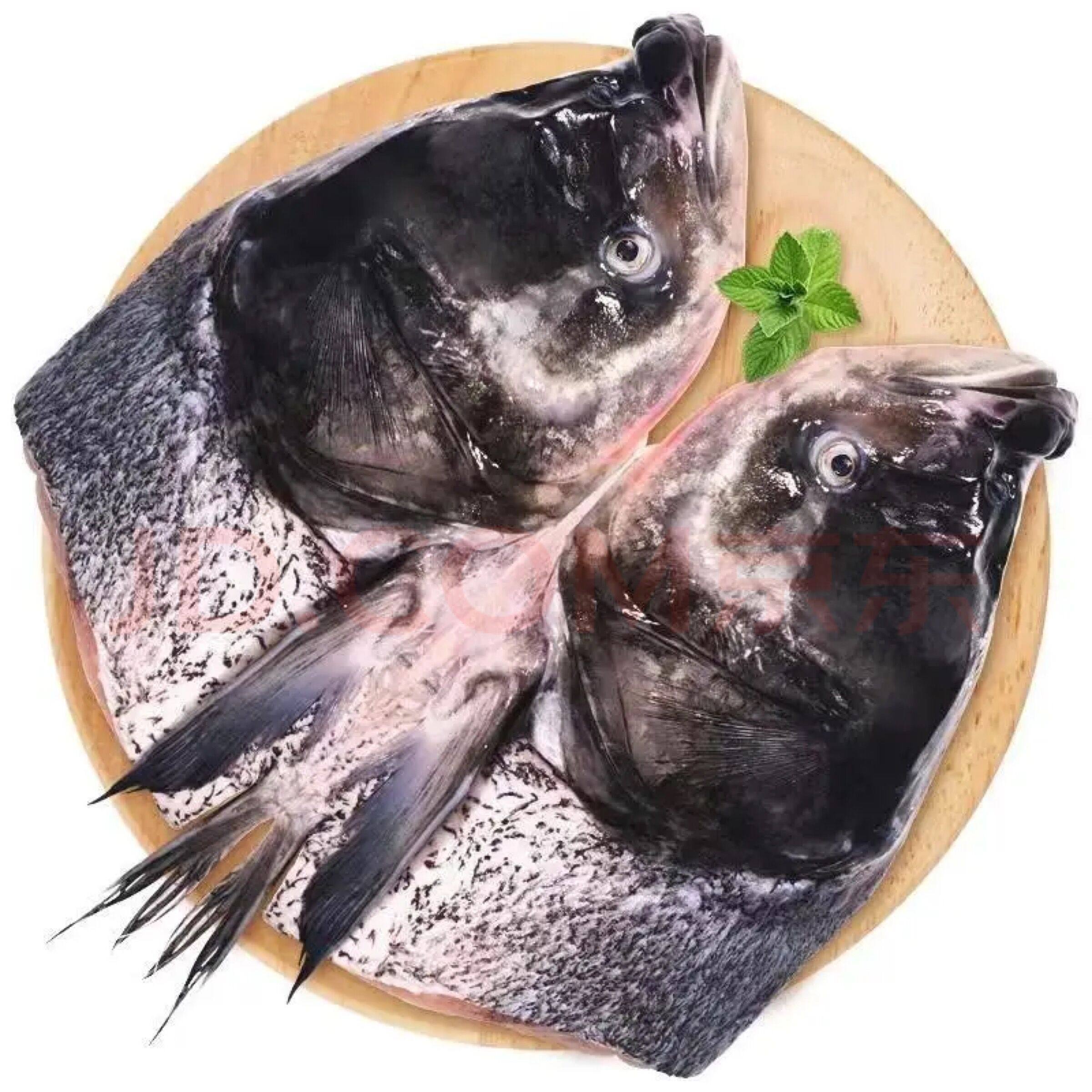 正宗千岛湖大头鱼鱼头淳牌有机胖头鱼头新鲜鲜活水产鳙鱼花鲢鱼头