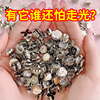 衬衫女装饰暗扣免缝防走光高档圆形百搭扣子可调节拆卸开衫针织|ru 衬衫女装饰暗扣免缝防走光高档圆形百搭扣子可调节拆卸开衫针织|ru