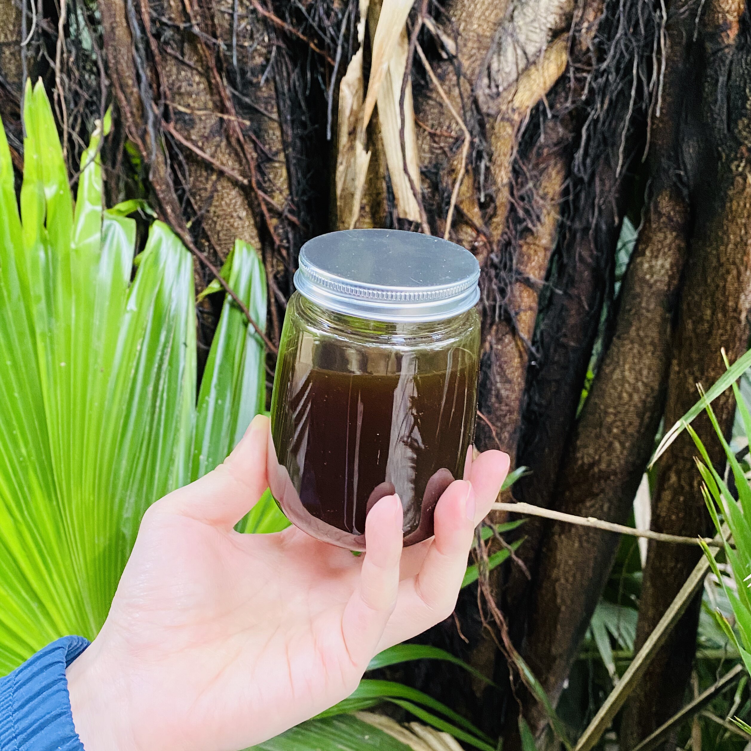 云南酸蜂蜂蜜野生蜂蜜纯正天然地下无刺蜂土酸蜂百花蜜老巢蜜