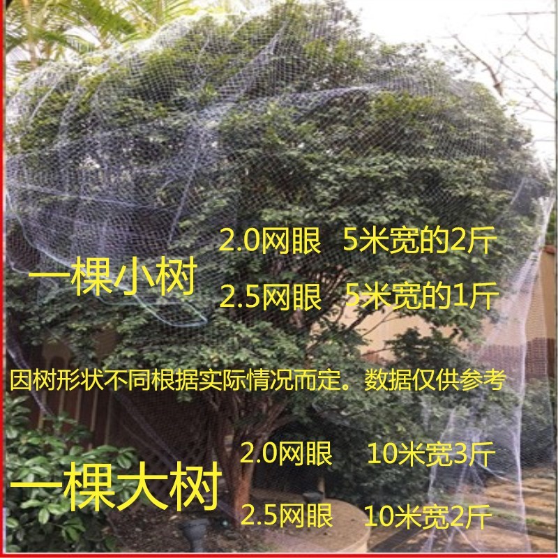 庭院网果园防乌网防鸟樱桃树保护网鱼塘天网家用种菜粘网尼龙丝网在类目 鲜花速递/花卉仿真/绿植园艺, 园艺用品, 其它园艺用品中 - 来自Buy2taobao.com提供专业的淘宝代购服务