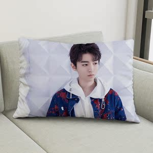 王俊凯抱枕图片