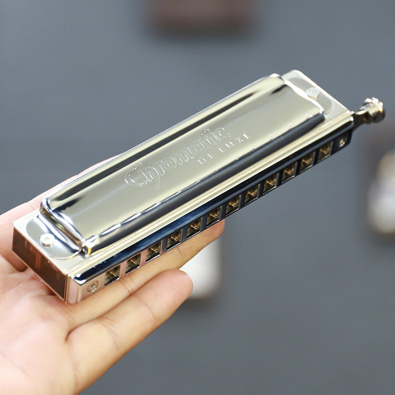 德国seydel赛德chromaticdeluxe半音阶口琴12孔初学者成人学生