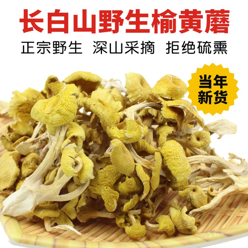 东北野生榆黄蘑干货鸡油菌黄金菇黄丝菌金顶侧耳金顶玉皇蘑黄金菇