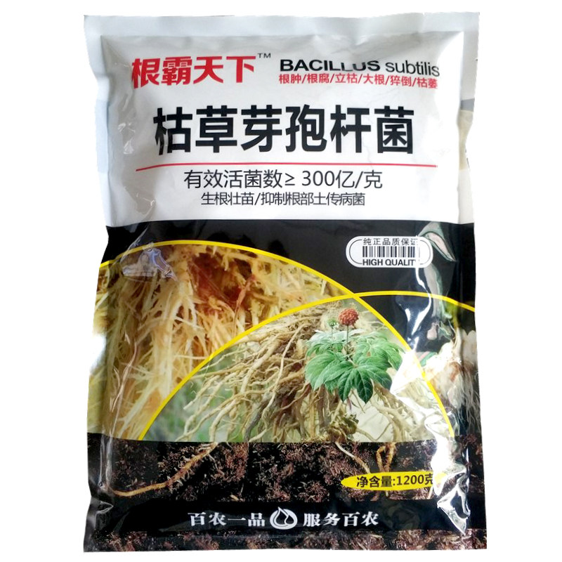 枯草芽孢菌杆菌农用根腐病药根腐灵死苗根腐净土壤消毒杀菌剂