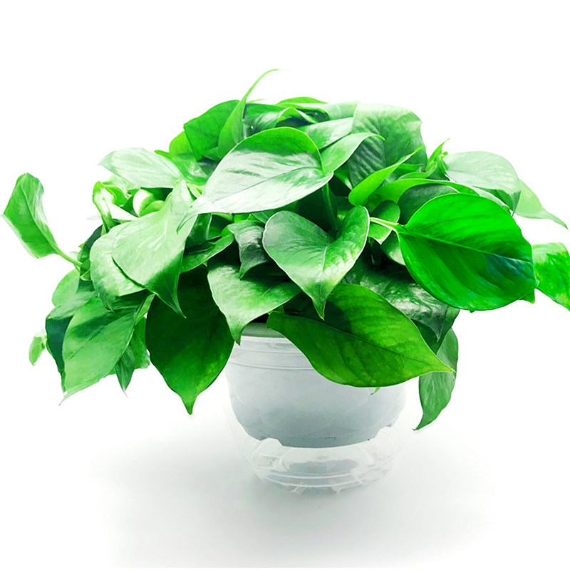 大宸精品的优惠券大全