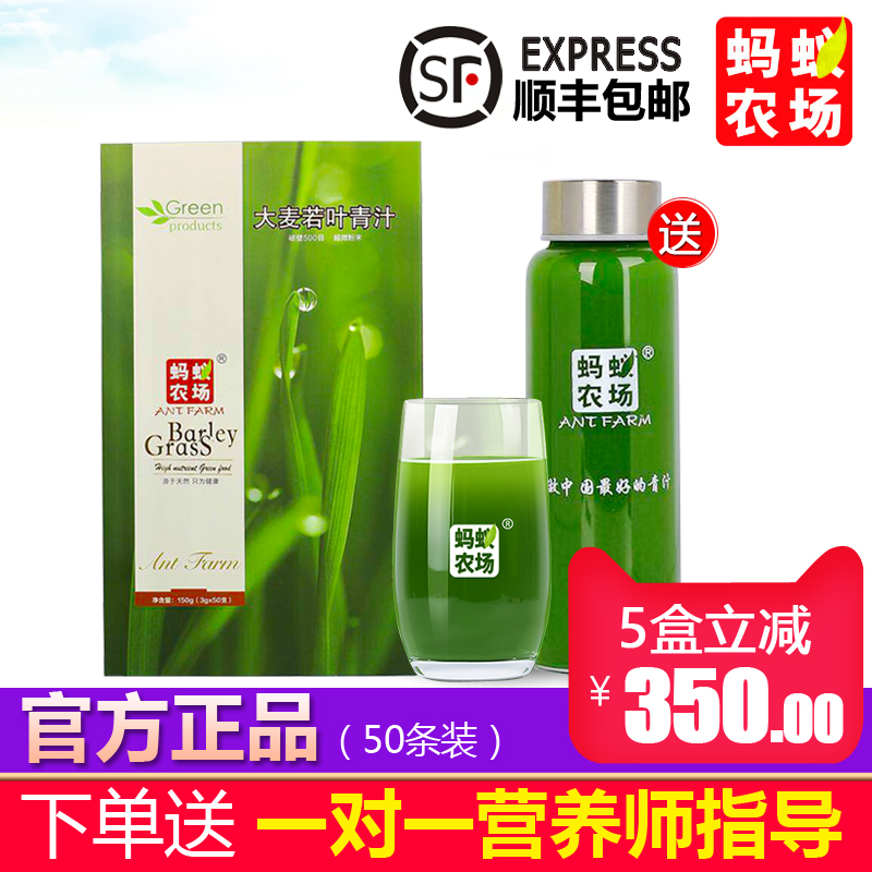 【官方正品】蚂蚁农场大麦若叶青汁益