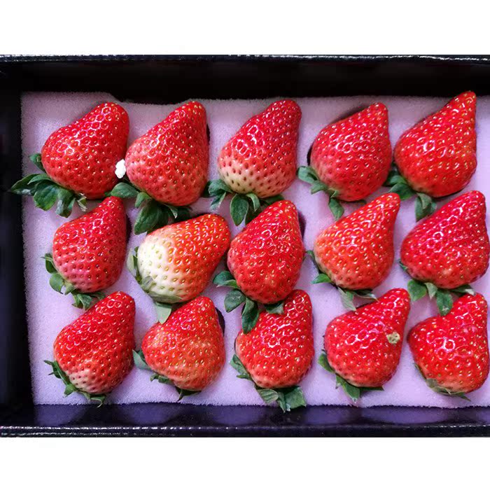 新鲜草莓 广东省_新鲜水果双流牛奶草莓红颜 礼盒12-15个装广东省内