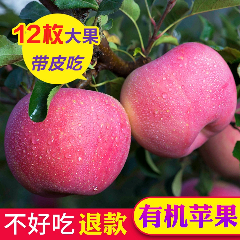 【有机】甘肃红富士苹果水果新鲜脆甜整箱一级大果孕妇水果12枚装