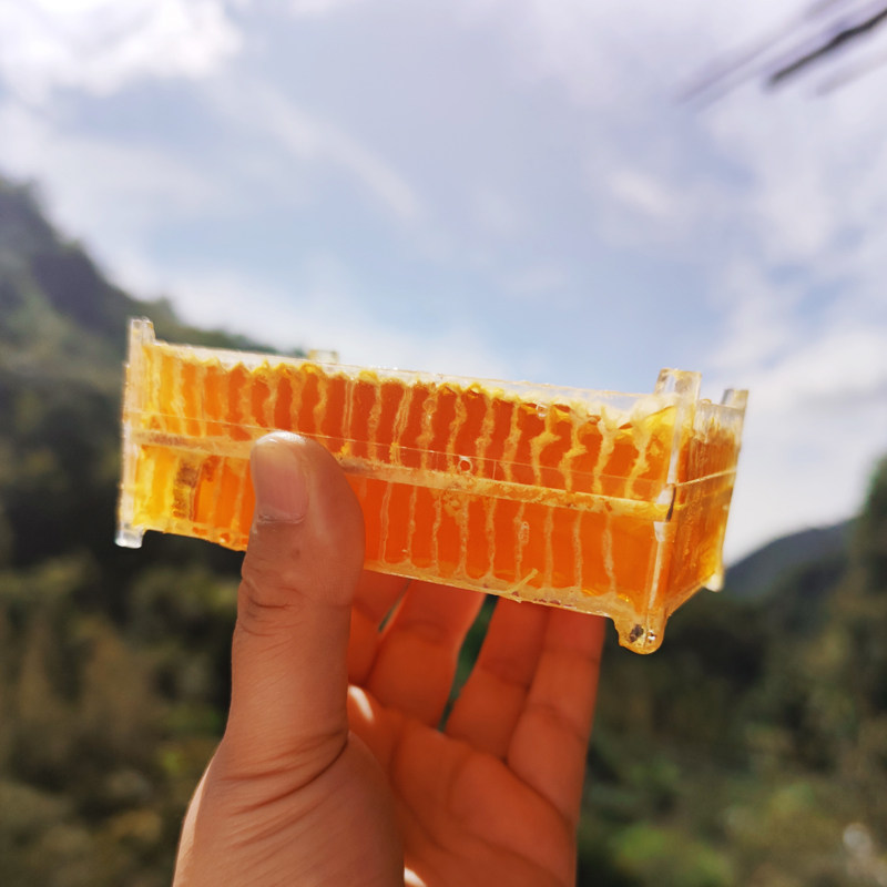 巢蜜城口大巴山秦岭高山百花纯正天然农家自产土取结晶土蜂蜜250g