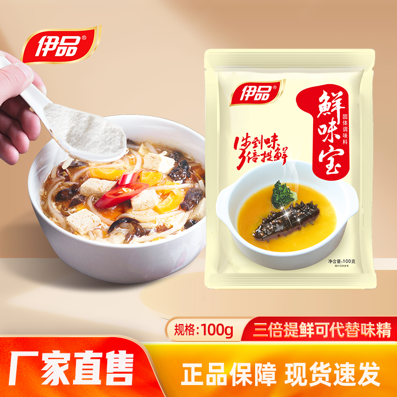 伊品鲜味宝100g家用小袋煲汤商用