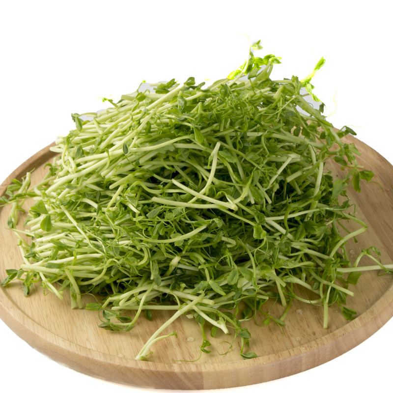 生鲜蔬菜 菜市场_精品豆苗500g 农家种植新鲜蔬菜 菜市场沃鲜汇生鲜