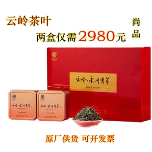 云岭永川秀芽-尚品300g礼盒重庆特产名茶高端绿茶明前春季新茶叶