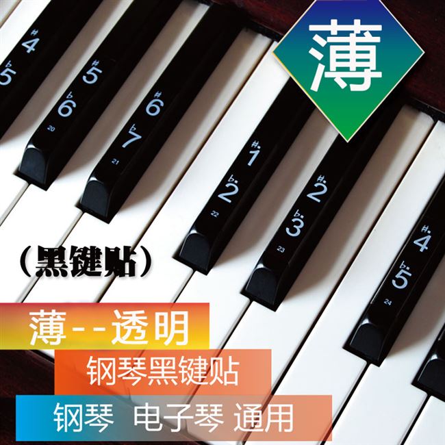 电子琴琴键贴透明图片