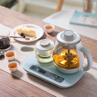 小熊煮茶器ZCQ-A08E1家用玻璃全自动蒸汽喷淋式泡茶套装黑茶壶炉