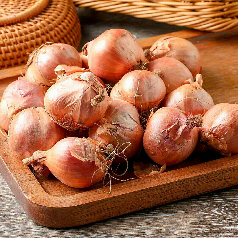 鬼子毛葱2500g东北 黑龙江农家包邮特产种植小圆葱 新鲜葱 红葱头