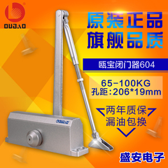 GA93-3CIII瓯宝闭门器604自动关门OUBAO大号瓯宝闭门器65-100KG