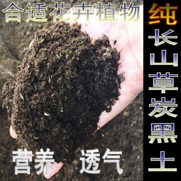 纯橡树叶兰花腐熟专用君子兰有机无土纯腐叶土专用腐熟土营养松针