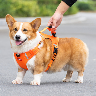 狗狗牵引绳柯基狗绳胸背带项圈宠物中型犬小型犬背心式狗链子遛狗