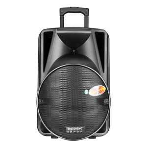 特美声12寸户外移动音箱图片