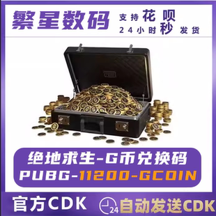 PUBG绝地求生11200G币G-COIN商城充值自动发货点卷gb兑换码Steam