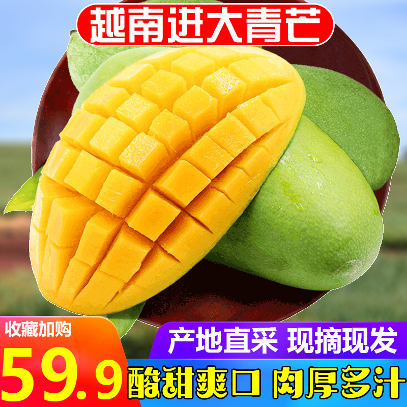 越南大青芒果新鲜水果应季热带水果进口金煌芒果10斤带箱批发包邮在类目 水产肉类/新鲜蔬果/熟食, 新鲜水果, 芒果中 - 来自Buy2taobao.com提供专业的淘宝代购服务