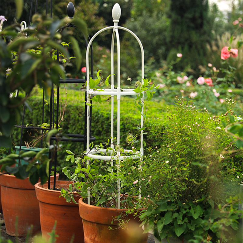 户外花柱爬藤架月季铁线莲蓝雪花支架飘香藤蔷薇植物阳台攀爬花架