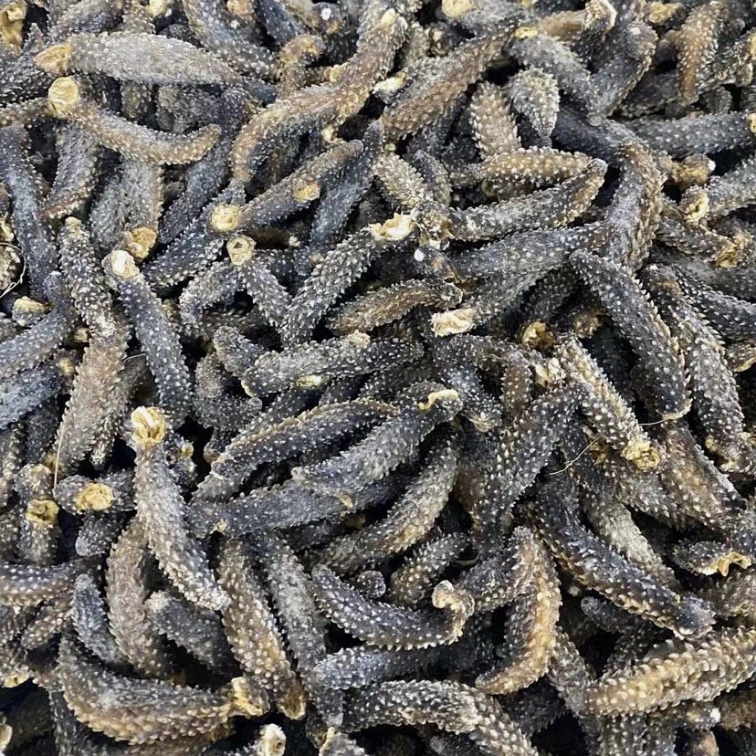 印尼野生黑刺参海参干货靓品500g刺参纯淡干海参海渗秃参非辽参装