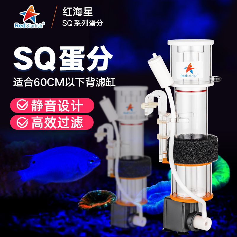 红海星SQ迷你蛋分蛋白质分离器海水