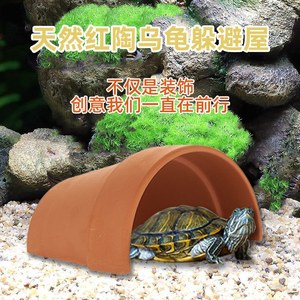 自制小乌龟的窝图片