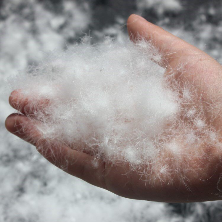 散装羽绒原料95白鹅绒大朵白鸭绒羽绒毛毛鸭毛羽绒服羽绒被填充物_8折