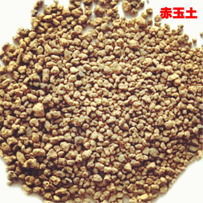 家庭园艺赤玉土盆栽绿萝赤玉土兰花营养土花卉植物多肉种植用土在类目 鲜花速递/花卉仿真/绿植园艺, 花卉/绿植盆栽(新), 绿植中 - 来自Buy2taobao.com提供专业的淘宝代购服务
