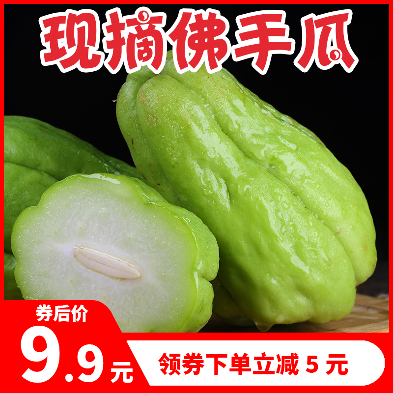 现货现发云南新鲜佛手瓜10斤洋瓜捧瓜丰收窝瓜寿瓜农家蔬菜葵瓜|ruв категории водной мясо/свежие фрукты и овощи/еда, свежие овощи/овощной продукции, свежие овощи, другие - от Buy2taobao.com для оказания профессиональной услуги покупки агента Taobao