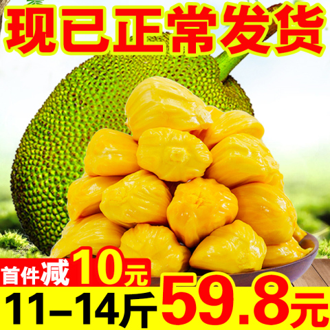现货现发泰国红心红肉菠萝蜜一整个当季新鲜水果非海南越南波罗蜜