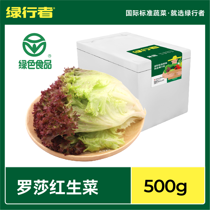 【绿行者】罗莎红生菜新鲜蔬菜沙拉食材轻食营养脆嫩红叶生菜500g