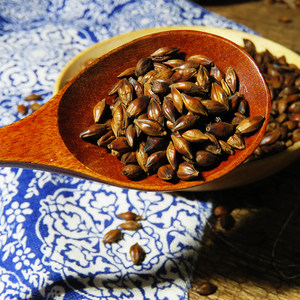 包邮麦香大麦茶原味浓香型小包装袋泡烘焙麦粒茶叶散装_2折现价16元