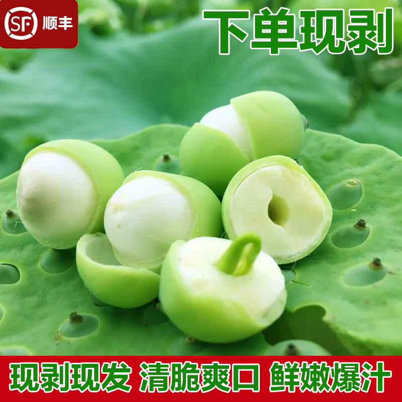 現摘新鮮蓮子米鮮甜嫩蓮子水果蓮蓬生吃鮮蓮子現剝2斤順豐包郵在類目 水產肉類/新鮮蔬果/熟食, 新鮮蔬菜/蔬菜製品, 新鮮蔬菜, 新鮮蓮蓬中 - 來自Buy2taobao.com提供專業的淘寶代購服務