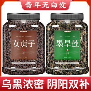 女贞子旱莲草中药中药材正品茶包墨旱莲茶和旱莲草茶的功效泡茶水