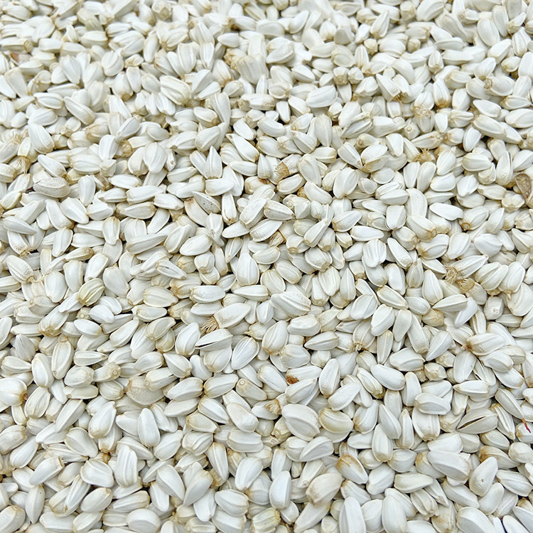 红花籽优惠专场