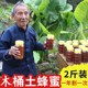 【买1送1】深山木桶蜜野生土蜂蜜传统农家自产纯正天然蜂蜜