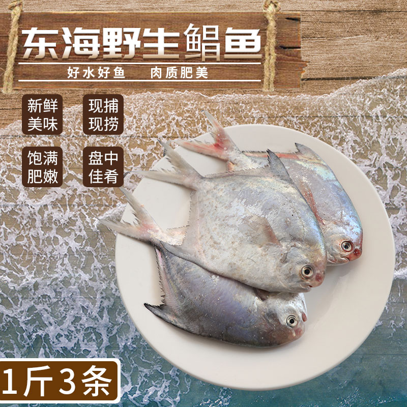 舟山宁波东海新鲜鲳鱼鲜活银鲳鱼平鱼白扁鱼海鲜水产1斤3条|ruв категории водной мясо/свежие фрукты и овощи/еда, морепродукты/водные продукты/изделия, морепродукты и рыба, 鲳鱼 - от Buy2taobao.com для оказания профессиональной услуги покупки агента Taobao