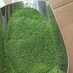 海苔条粉 中秋月饼 面包 苔条麻花浒苔粉 苔菜粉 细粉 买4送1