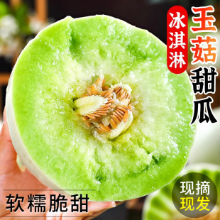 玉菇甜瓜5斤冰淇淋新鲜水果整箱包邮当季正宗白香瓜羊角哈10蜜瓜