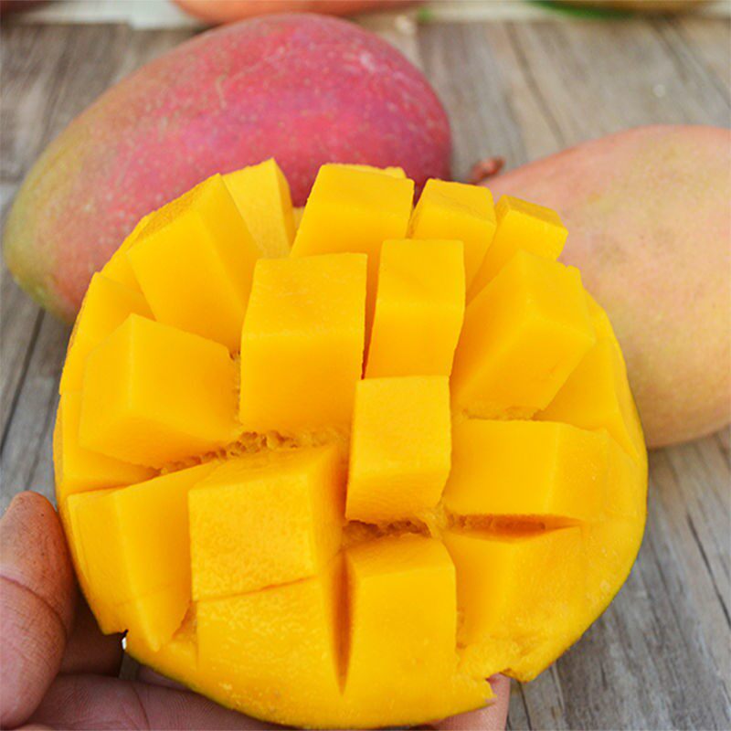 【顺丰】海南玉文芒三亚红玉芒当季新鲜水果红芒爱文大芒果5/10斤