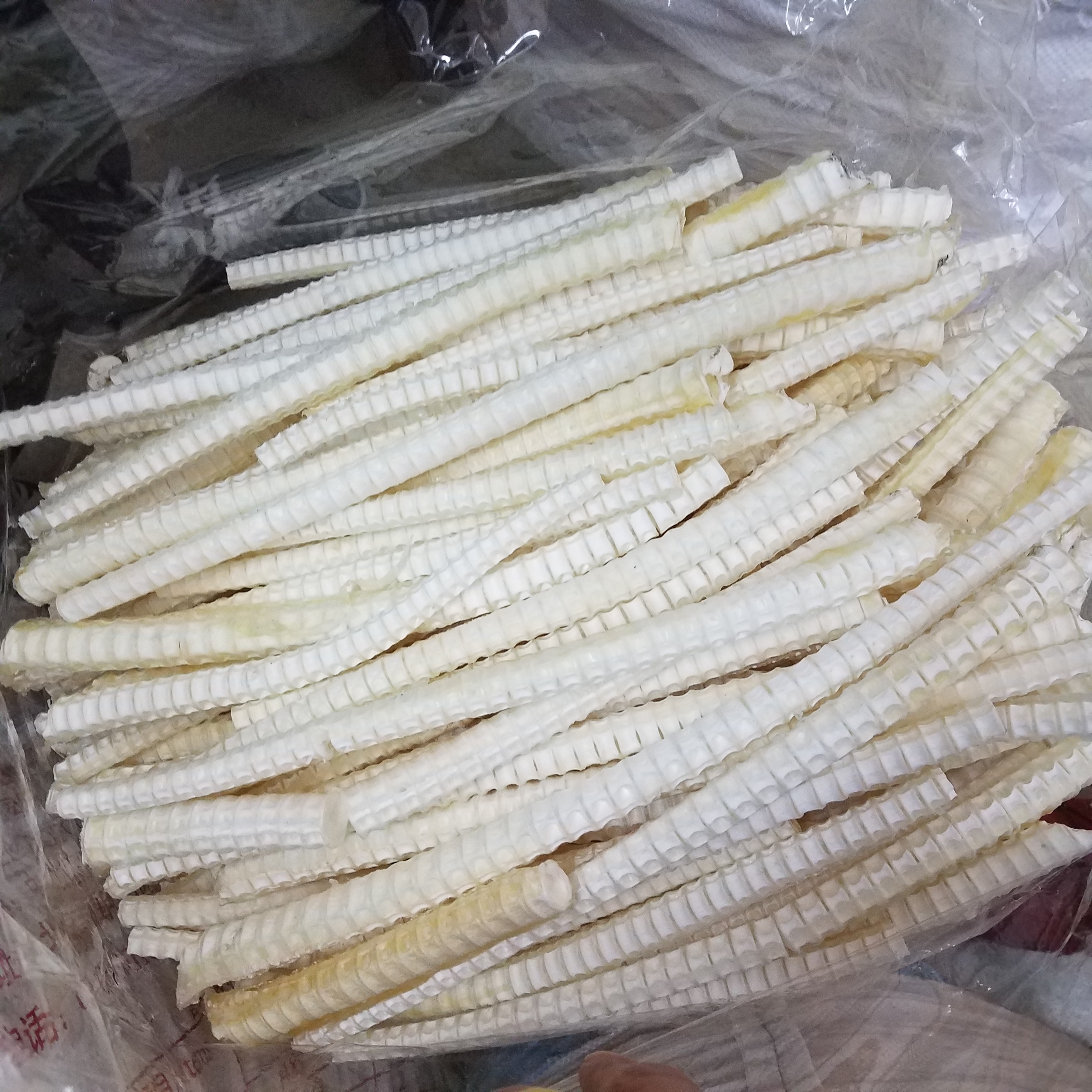 鲨鱼骨头大额优惠券