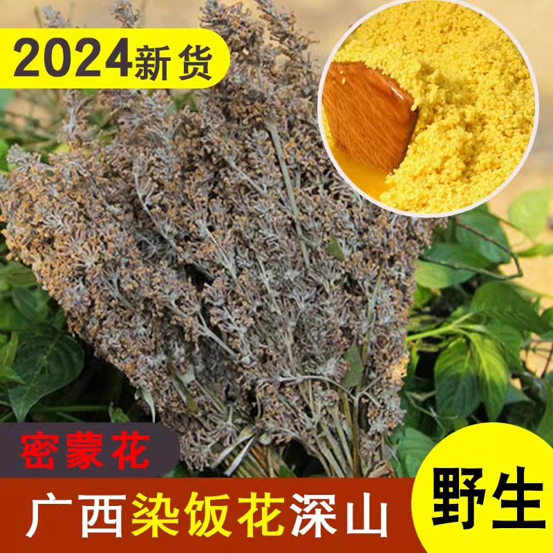 密蒙花广西野生染饭花中药材新鲜黄饭花干蜜蒙花五彩糯米饭染色花