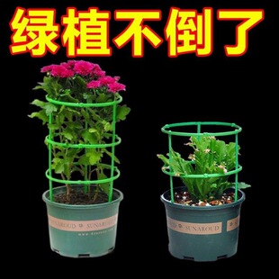 花架爬藤架子太阳花支架植物支撑杆绿萝月季攀爬架阳台客厅园艺