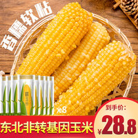 花生大叔甜糯玉米东北黏玉米新鲜糯玉米粒香粘即食小玉米棒真空装