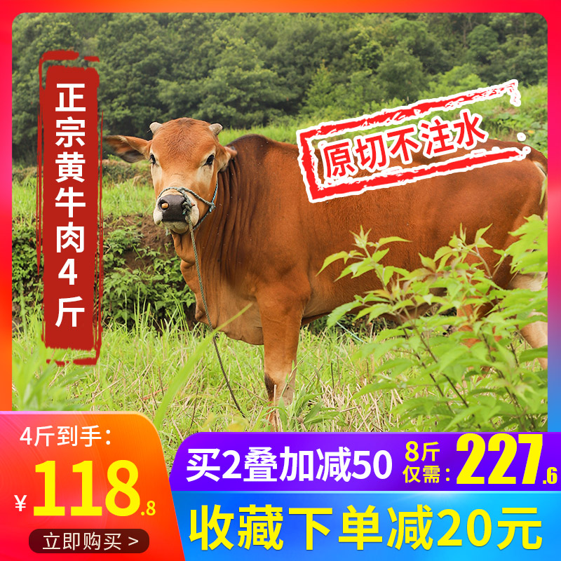 正宗散养黄牛肉新鲜现杀4斤农家生牛肉牛腩牛腱子肉冷冻生鲜5包邮|ruв категории водной мясо/свежие фрукты и овощи/еда, сырое мясо/мясо, категория говядины, сырое мясо - от Buy2taobao.com для оказания профессиональной услуги покупки агента Taobao