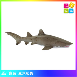 safari仿真海洋野生鲸鱼鲨鱼动物模型儿童玩具100369 锥齿鲨