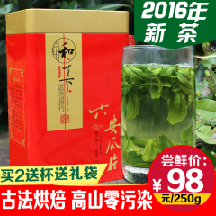 2016新茶绿茶特级六安瓜片250g生态源茶叶 茶农直销散装春茶